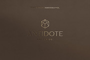 Embossed, Debossed, Foil Effects, a Layer Style Add-On by Wildfield Studio (Thumbnail 6 of 9)
