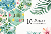 Tropical Collection, a Decorative Illustration by endita (Thumbnail 2 of 14)