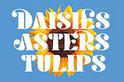 Hostey & Milan Groovy Serif, a Serif Font by timelesstype.co (Thumbnail 16 of 20)