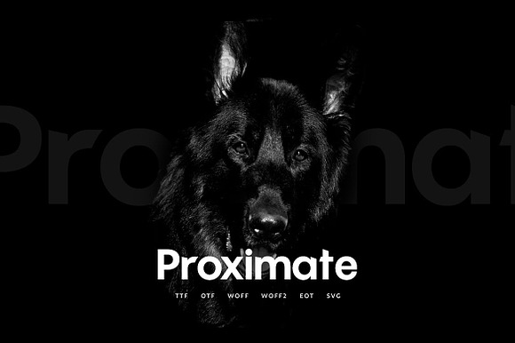 Proximate - Modern Typeface preview 7