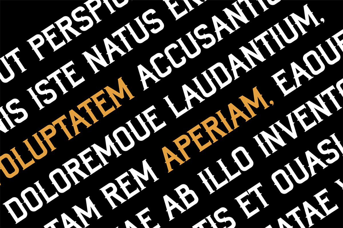 Victorian Vintage Serif Font, a Serif Font by UICreative (Photo 11 of 13)