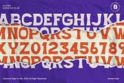 Paradixe - Crafted Display Font, a Font by Bentype Studio (Thumbnail 2 of 6)
