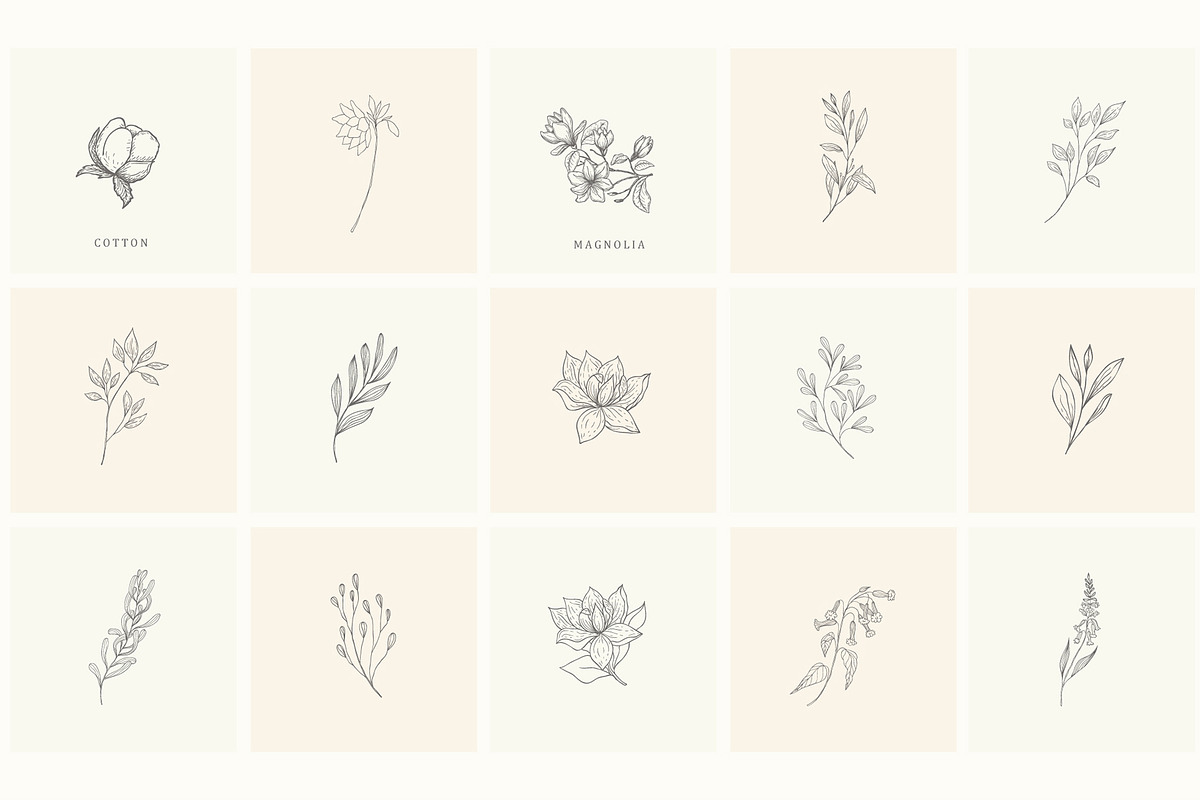 Botanical Hand Drawn Designs, Logos, a Seasonal Illustration by Designwork (Photo 19 of 22)