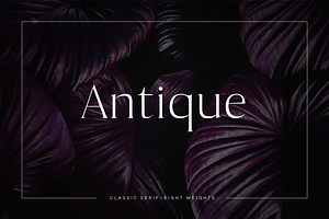 Antique - Luxury Serif Typeface