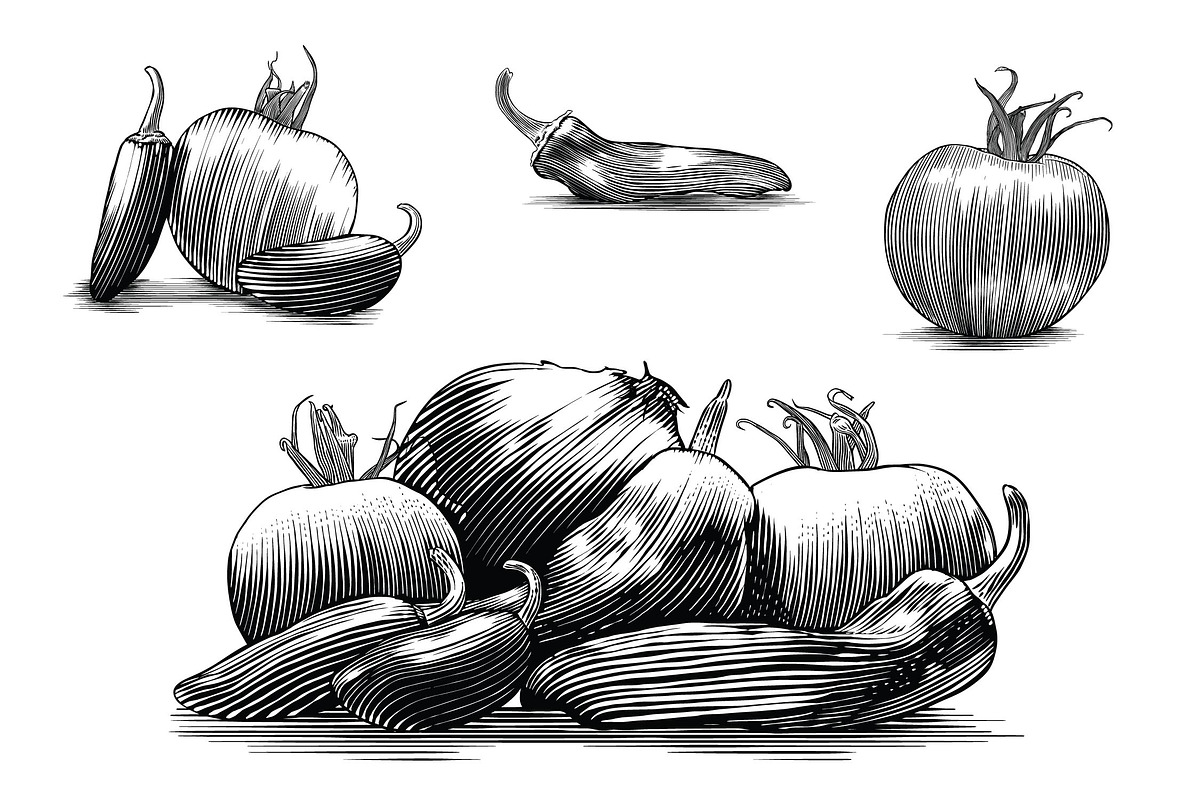 Salsa Vegetables, a Food Illustration by blue67sign (Photo 1 of 5)