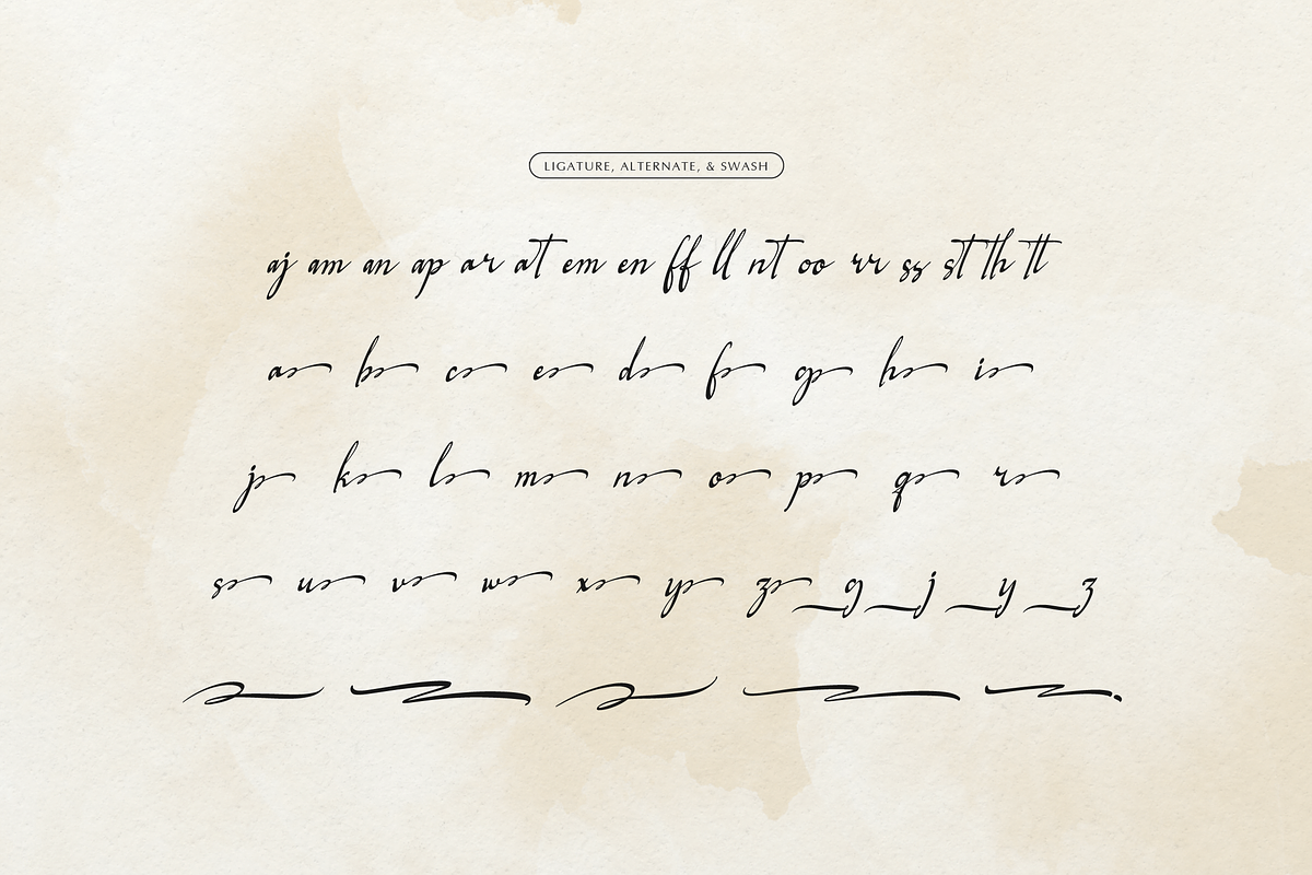 Logically Signature | Elegant Signat, a Sans Serif Font by gracetype_studio (Photo 11 of 12)