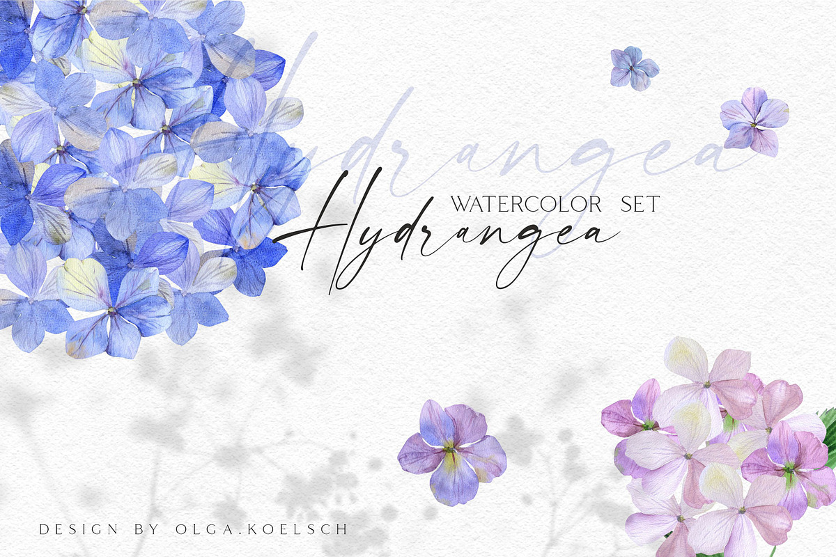 Big Bloom Bundle, an Object Illustration by Olga Koelsch (Photo 12 of 13)