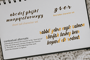 Amiable Forsythia Font, a Script Font by Letterhanna Studio (Thumbnail 14 of 19)