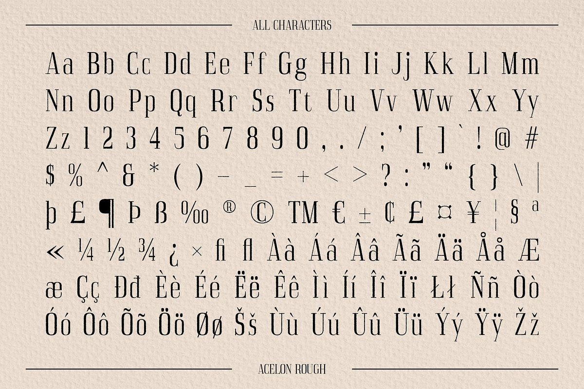 Acelon Rough, a Serif Font by Craft Supply Co. (Photo 8 of 8)