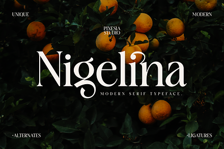 Nigelina - Modern Vintage Serif, a Serif Font by Pixesia Studio