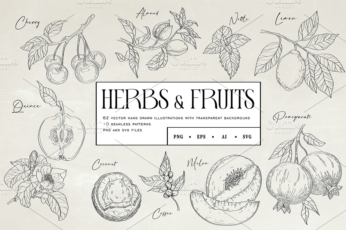 Herbs & Fruits hand drawn collection, an Object Illustration by Garden in frame (Photo 1 of 9)