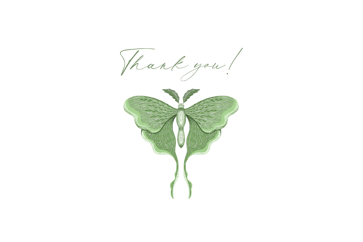 Luna moth clipart & pattern, an Animal Illustration by Yelloo Fish (Photo 11 of 11)