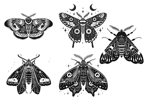 Procreate Moth Brush Stamps