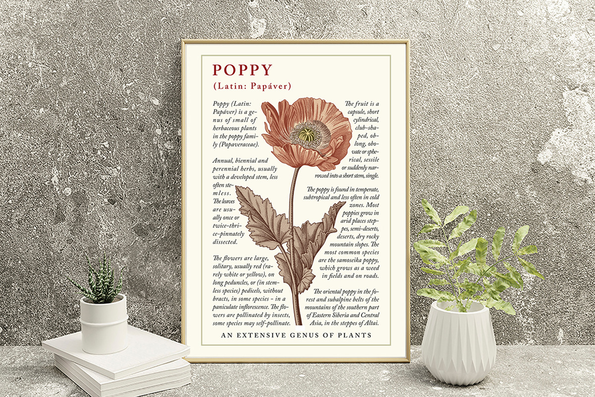 Seamless Set Flowers Poppy Poppies, a Pattern Graphic by Vintage (Photo 5 of 11)