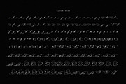 Nightshade – Elegant Calligraphy, a Script Font by Krismagraph (Thumbnail 10 of 10)
