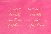 Bitteva Script - Classy Script Font, a Script Font by Dhabee (Thumbnail 16 of 16)