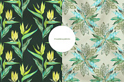 Delicate Tropics Watercolor Clipart, a Decorative Illustration by NataliMiasStore (Thumbnail 4 of 7)