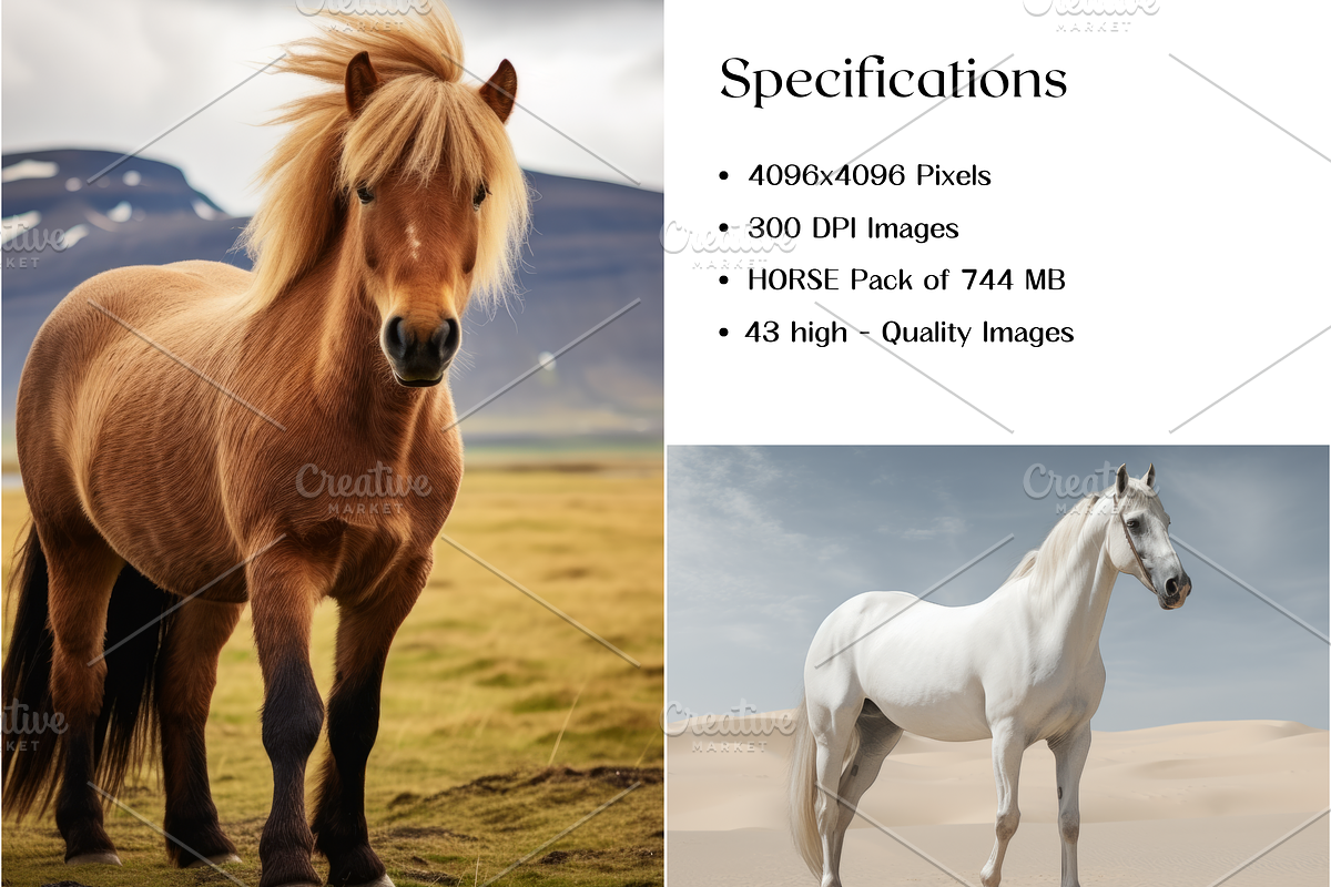 Horse Breeds Images, White Horses, an Animal Photo by BrushstrokeArtGB (Photo 5 of 5)