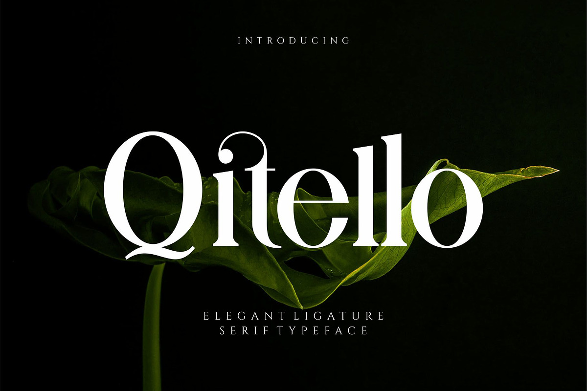 Qitello Ligature Serif Typeface, a Serif Font by Alfinart (Photo 1 of 10)