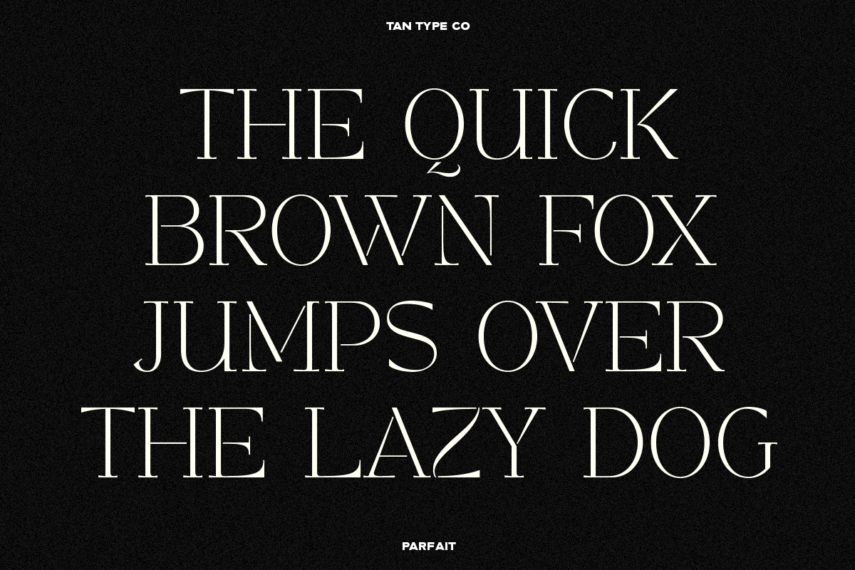 TAN - PARFAIT, a Serif Font by TanType (Photo 13 of 21)