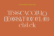 Harmond - New Trendy Serif, a Sans Serif Font by Dirtyline Studio (Thumbnail 17 of 19)
