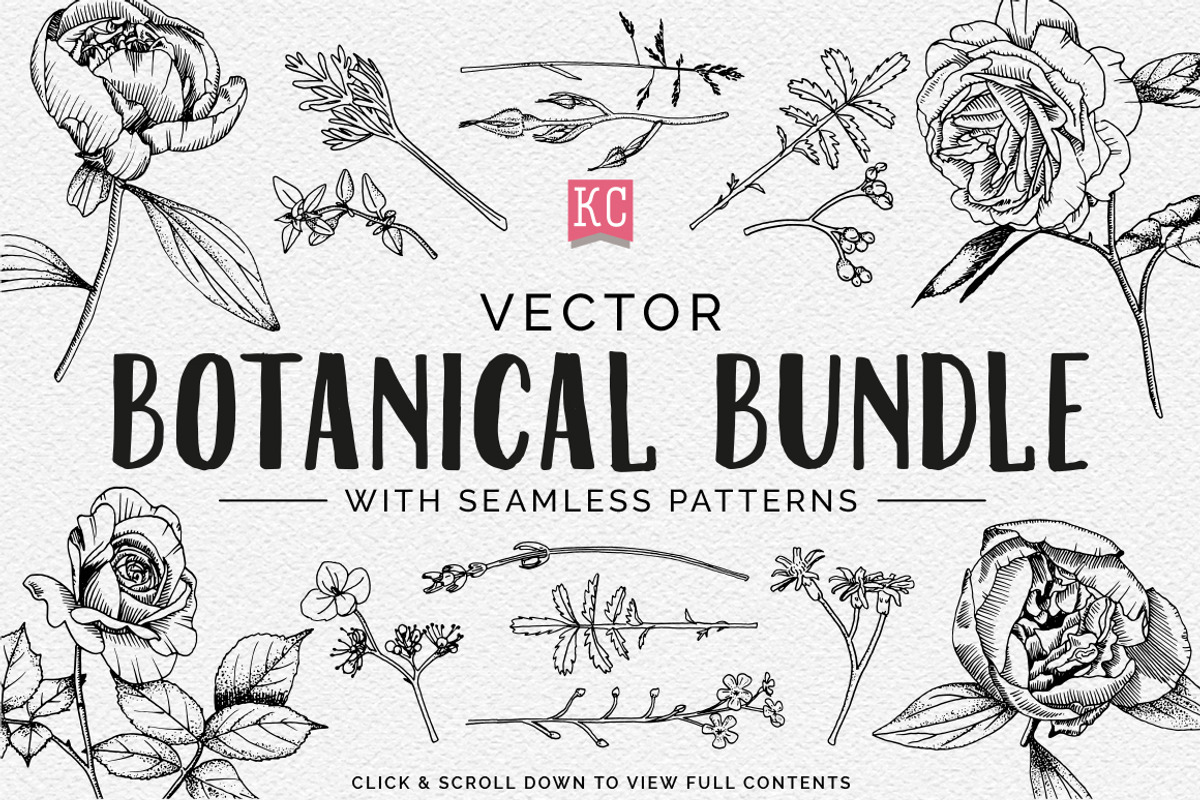 Vector Botanical Illustrations, an Illustration by Katy Clemmans (Photo 8 of 8)