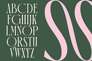 Orleans Brightens Modern Serif, a Serif Font by timelesstype.co (Thumbnail 10 of 15)