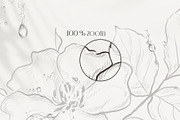 PLANTS & HERBS illustrations set, a Healthcare Illustration by Yuliia Lashevska (Thumbnail 3 of 14)