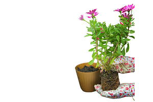 A little girl is planting flowers, a Nature Photo by yanadjana