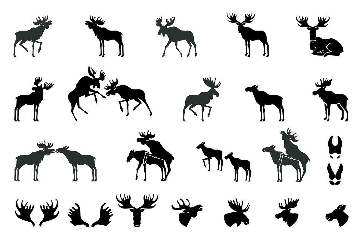 Set of Moose Silhouettes. Vector Ima, a Graphic by Riots Brush