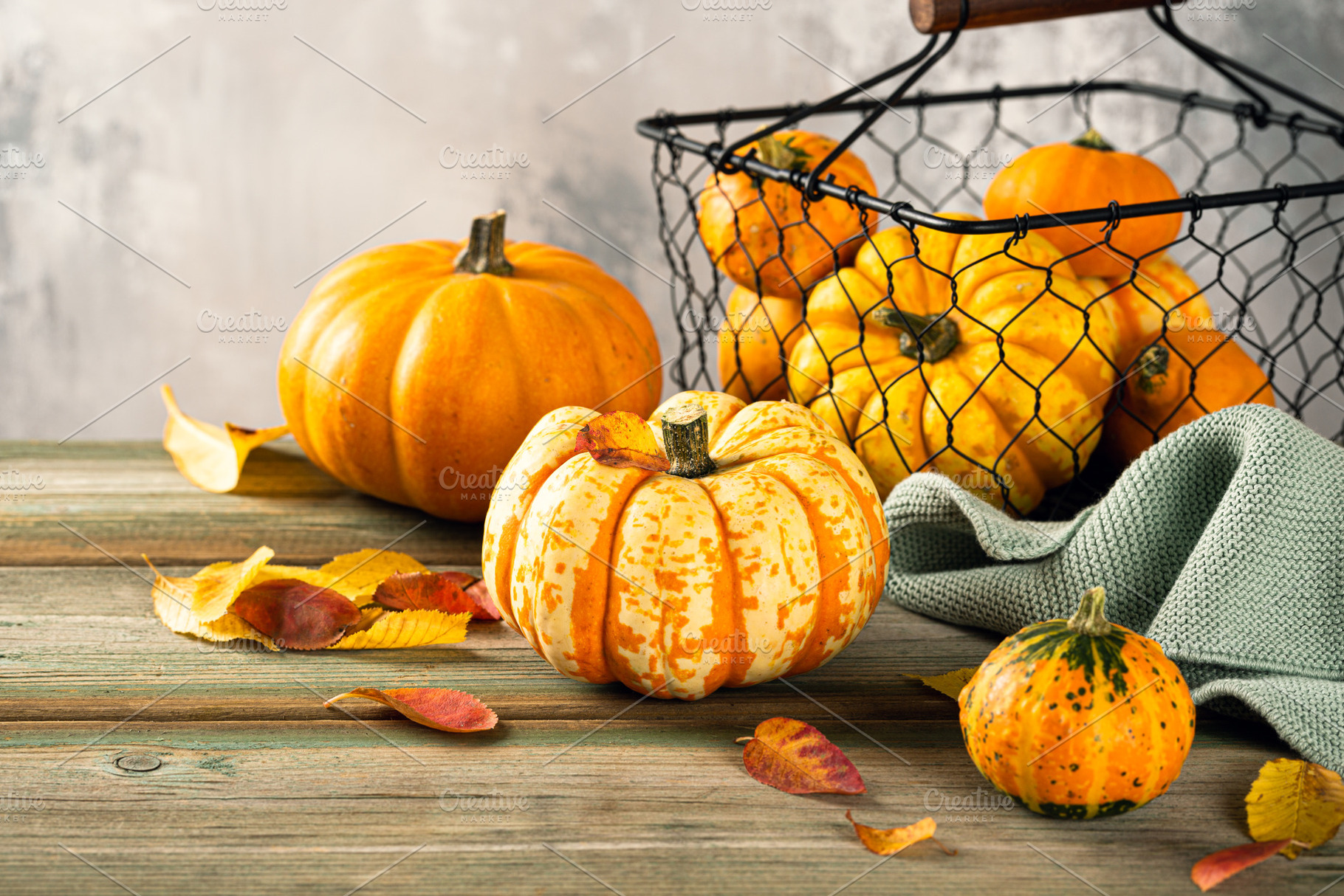 Autumn pumpkin thanksgiving featuring autumn, background, and squash, a Holiday Photo by Iryna Melnyk Photography
