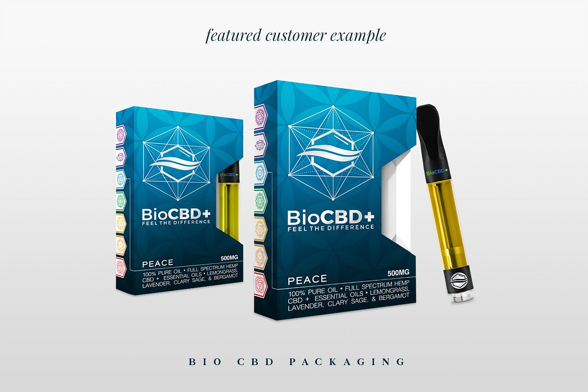 Conscious Vector Bundle, a Background Graphic by S K Y B O X (Photo 10 of 30)