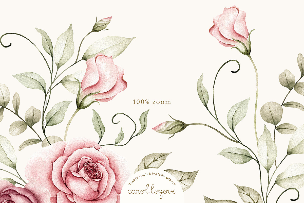 Watercolor Blush Roses Floral Set, a Decorative Illustration by Carol Lozove (Photo 6 of 50)