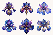 Iris Paisley Clipart Bundle, a Seasonal Illustration by Designworld (Thumbnail 5 of 10)