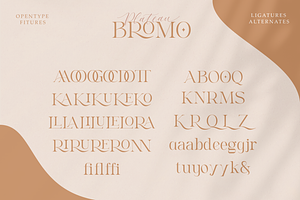 Bromo Plateau - Classy Font Duo