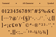 Sunday Monare, a Serif Font by Megatype (Thumbnail 10 of 12)