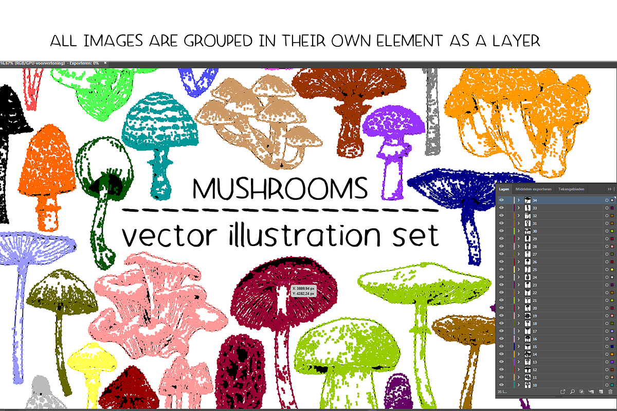 Mushrooms - vector illustration set, a Food Illustration by Renée from Studio neetje (Photo 5 of 6)