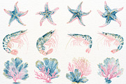 Undersea Ocean Animals PNG Clipart, an Animal Illustration by SugarCloudStudioArt (Thumbnail 6 of 7)