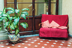 Classic interior with vintage sofa, an Architecture Photo by BOOCYS