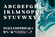 Fab Display - Editorial Font, a Serif Font by Biro AMDS (Thumbnail 7 of 8)