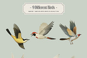 Swallows - vintage illustrations, an Animal Illustration by AI Crafted Magnolia (Thumbnail 8 of 13)