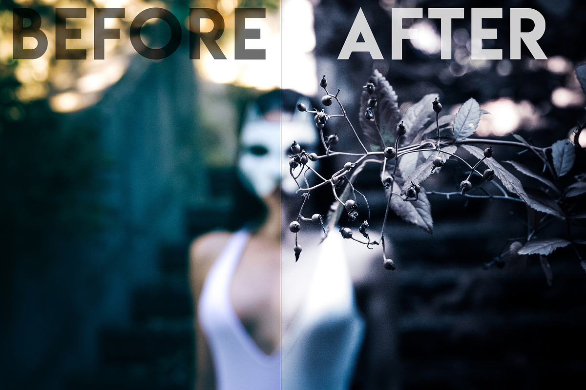 Lightroom Preset - Black Cat, an Action Add-On by Design Aesthetic (Photo 8 of 12)