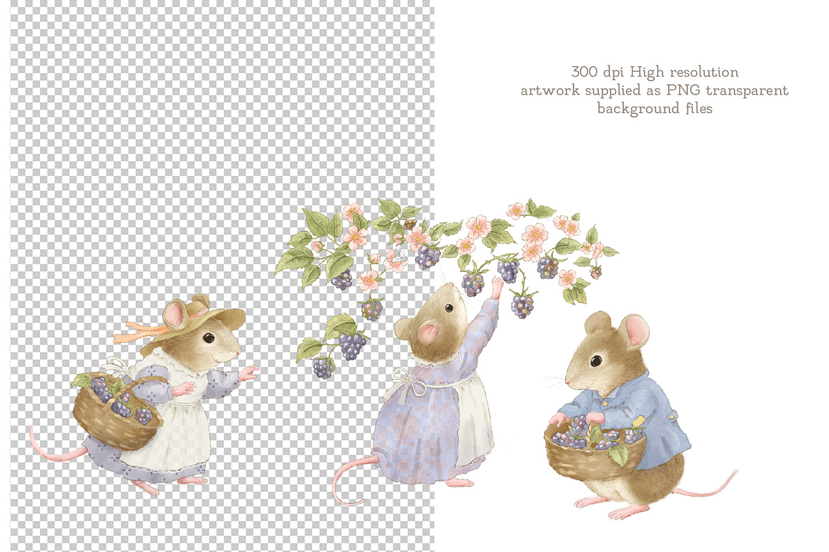 Blackberry Mice Watercolor Set, an Animal Illustration by AlenaVlasko stock Market (Photo 2 of 11)