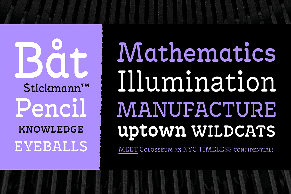 Antypica Light, a Slab Serif Font by Anfound Type (Photo 4 of 24)