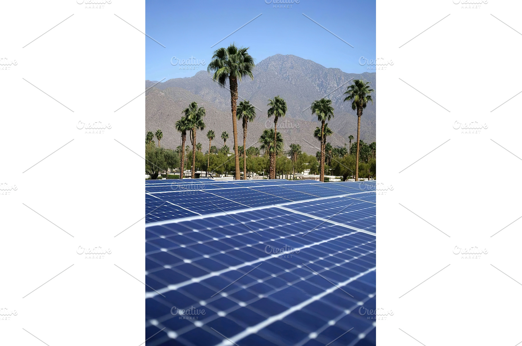 Solar panels and palm trees in, a Nature Photo by Lermont51