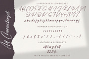 Fany Harlley - Handwritten Font, a Script Font by StringLabs (Thumbnail 9 of 10)