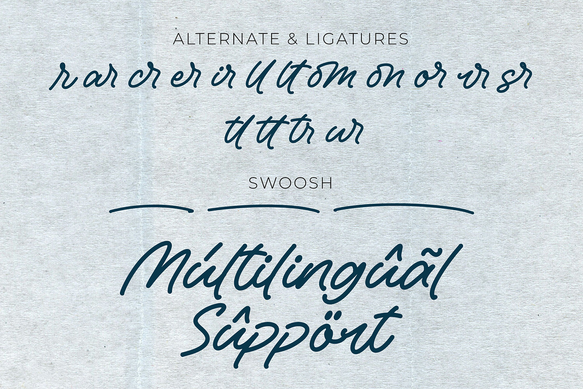 Algreda - Monoline Signature Font, a Script Font by Graha Type (Photo 11 of 12)