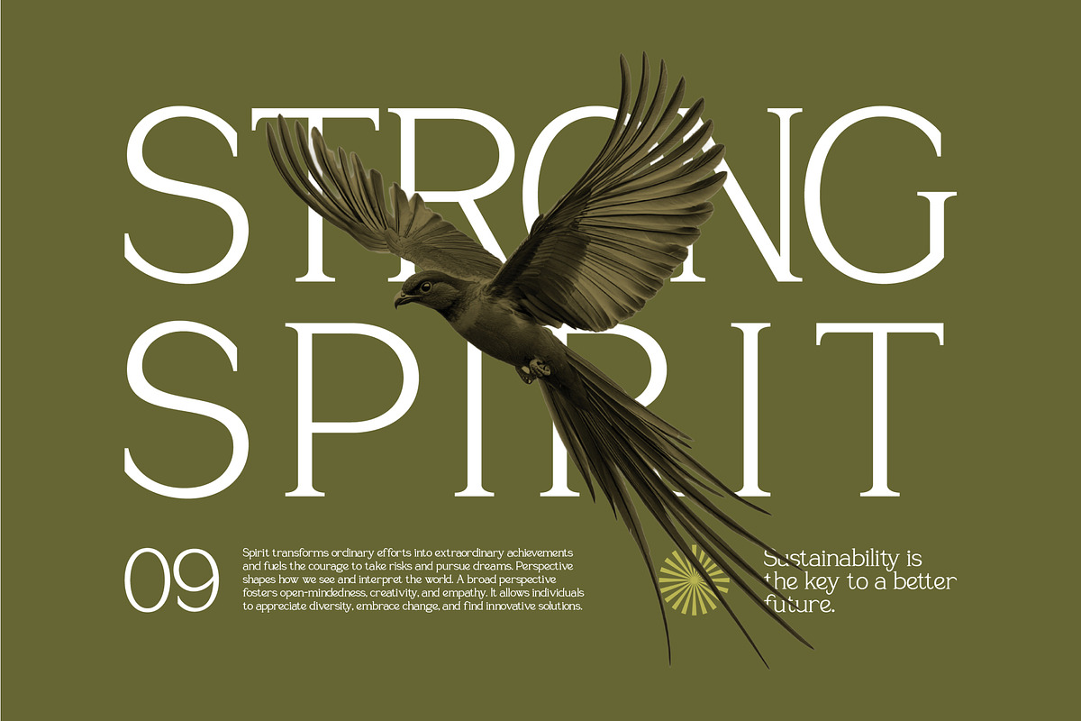 Sevoilla – Elegant Serif Typeface, a Serif Font by Vadovastd (Photo 2 of 7)