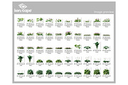94 Assorted Plants Photo Overlays, a Nature Photo by KenScape (Thumbnail 3 of 4)