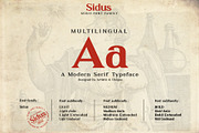 Sidus - Serif font family, a Serif Font by Artistic & Unique (Thumbnail 3 of 14)